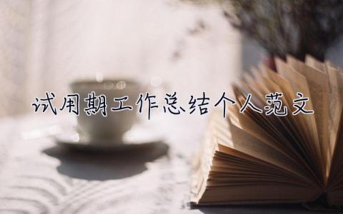 試用期工作總結個人范文 試用期工作總結個人