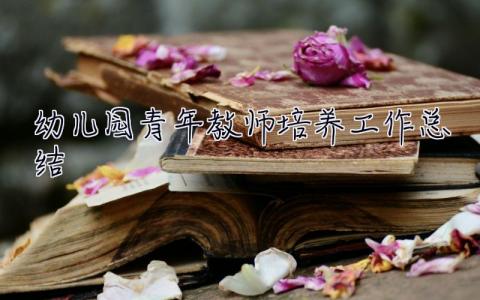 幼兒園青年教師培養(yǎng)工作總結(jié) 青年教師培養(yǎng)工作總結(jié)