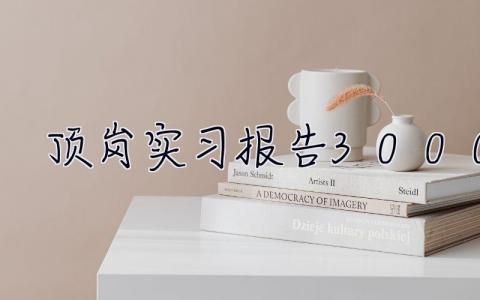 頂崗實習報告3000字 跟崗實習報告