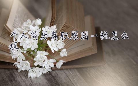 個人簡歷離職原因一欄怎么填  離職原因一欄怎么填