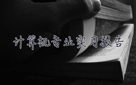 計(jì)算機(jī)專業(yè)實(shí)習(xí)報(bào)告 計(jì)算機(jī)專業(yè)實(shí)習(xí)總結(jié)