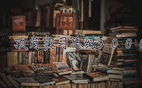 頂崗實習總結3000字 實習總結2000字