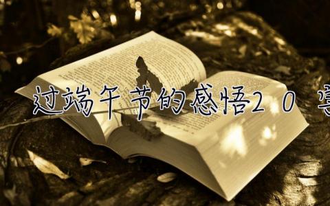 過端午節的感悟20字  過端午節的感悟