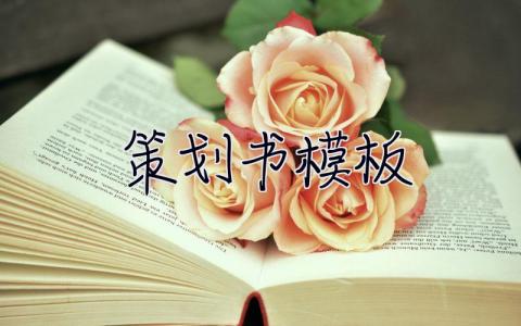 策劃書模板  策劃書