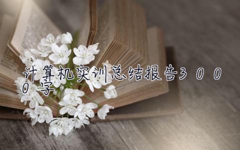 計(jì)算機(jī)實(shí)訓(xùn)總結(jié)報(bào)告3000字  計(jì)算機(jī)實(shí)習(xí)總結(jié)