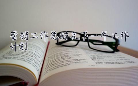 營銷工作總結及下一年工作計劃 營銷工作總結