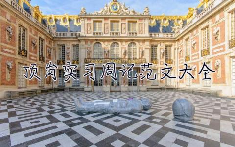 頂崗實習周記范文大全  會計頂崗實習周記