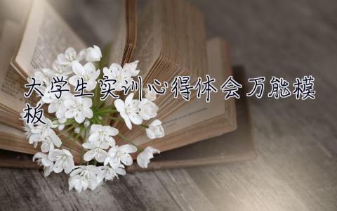 大學(xué)生實(shí)訓(xùn)心得體會萬能模板 大學(xué)生實(shí)訓(xùn)心得體會