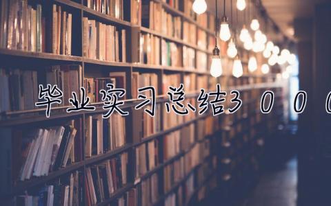 畢業實習總結3000字 畢業實習總結