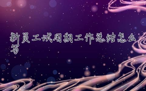 新員工試用期工作總結怎么寫 實習期工作總結