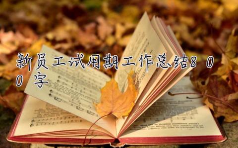 新員工試用期工作總結800字 試用期工作總結800字