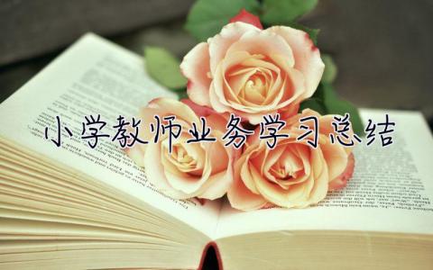 小學(xué)教師業(yè)務(wù)學(xué)習(xí)總結(jié) 教師業(yè)務(wù)學(xué)習(xí)總結(jié)