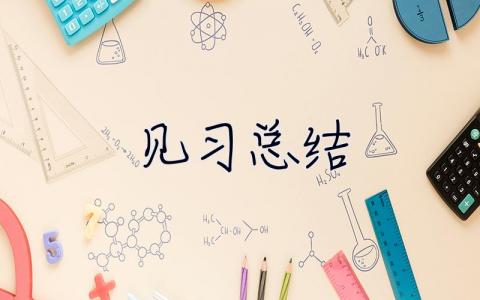 見習總結 師范生見習總結