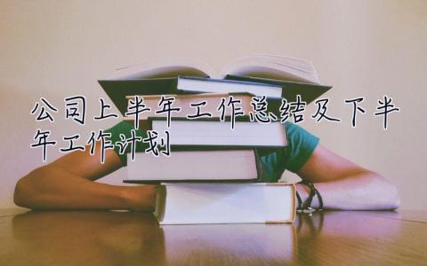 公司上半年工作總結及下半年工作計劃 公司上半年工作總結