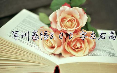 軍訓感悟800字左右高一 軍訓感悟800字左右