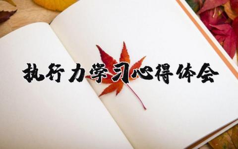 執行力學習心得體會  21篇