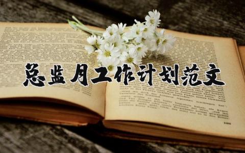 總監月工作計劃范文 優選9篇