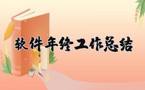軟件年終工作總結 軟件工作總結范文（優選12篇）
