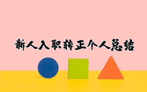 新人入職轉正個人總結 新人轉正總結報告（優選8篇）