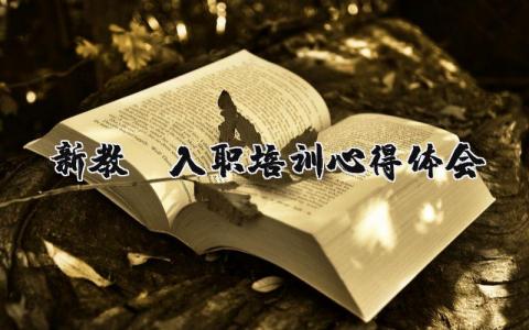 新教師入職培訓心得體會 新教師入職培訓心得體會500字（優選17篇）