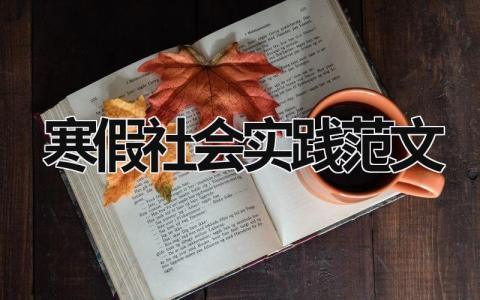 寒假社會實踐范文 寒假社會實踐內(nèi)容怎么寫 (16篇）