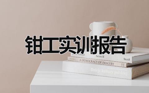 鉗工實訓(xùn)報告 鉗工實訓(xùn)報告總結(jié) (15篇）