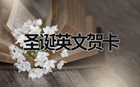 圣誕英文賀卡 圣誕英文賀卡制作圖片大全 (14篇）