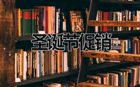 圣誕節促銷 圣誕節促銷活動方案 (15篇）