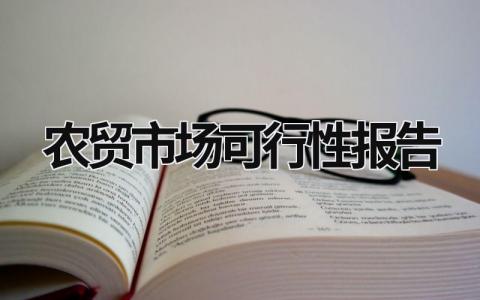 農貿市場可行性報告  (17篇）