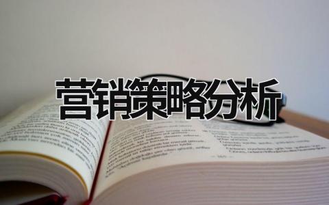 營銷策略分析  (19篇）