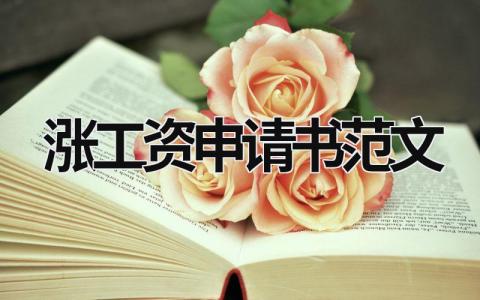 漲工資申請書范文 漲工資申請書范文模板 (15篇）