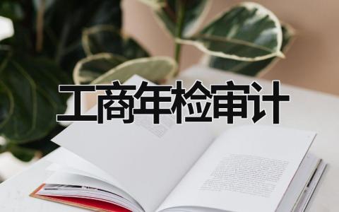 工商年檢審計 工商年檢審計報告多少錢 (12篇）