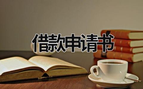借款申請書 公司向銀行借款申請書 (20篇）
