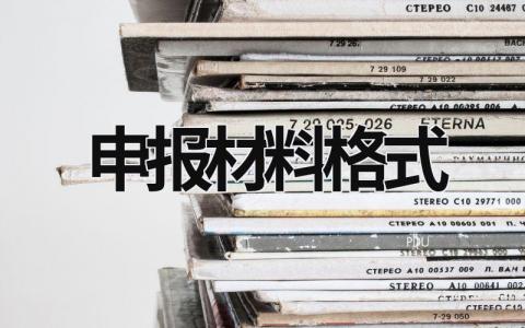 申報(bào)材料格式 申報(bào)材料格式兩篇范文 (12篇）
