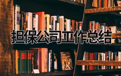 擔保公司工作總結 擔保公司工作總結報告 (18篇）