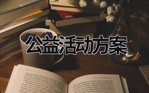 公益活動方案 關愛老人公益活動方案 (18篇）