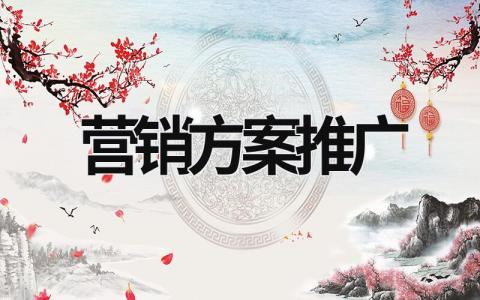營銷方案推廣  (17篇）