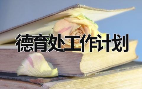 德育處工作計劃 德育處工作計劃第一學期 (16篇）