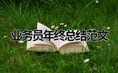業務員年終總結范文  (16篇）