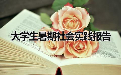 大學(xué)生暑期社會(huì)實(shí)踐報(bào)告 大學(xué)生暑期社會(huì)實(shí)踐報(bào)告格式模板 (17篇）