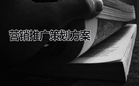 營銷推廣策劃方案  (21篇）