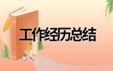 工作經(jīng)歷總結(jié) 個人工作經(jīng)歷總結(jié) (17篇）