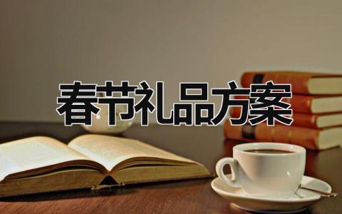春節(jié)禮品方案 春節(jié)禮品方案大全 (17篇）