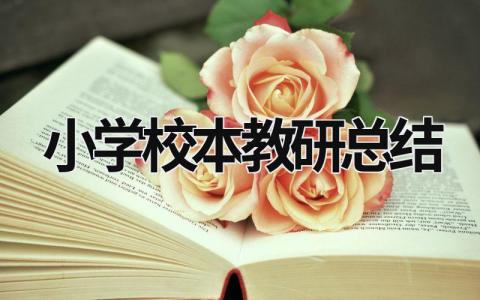 小學(xué)校本教研總結(jié) 小學(xué)校本教研活動(dòng)總結(jié) (19篇）