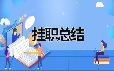掛職總結 掛職總結 (15篇）