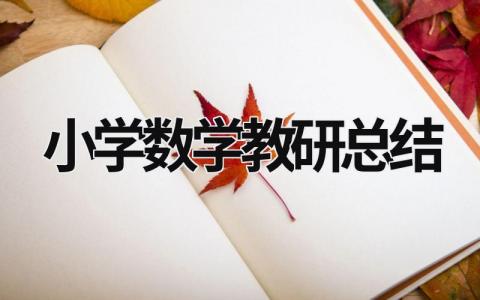 小學數學教研總結  (20篇）