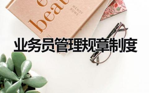 業(yè)務(wù)員管理規(guī)章制度  (19篇）