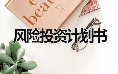 風險投資計劃書 風險投資計劃書模板 (7篇）