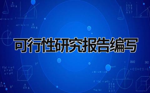 可行性研究報(bào)告編寫 可行性研究報(bào)告編寫指南 (13篇）