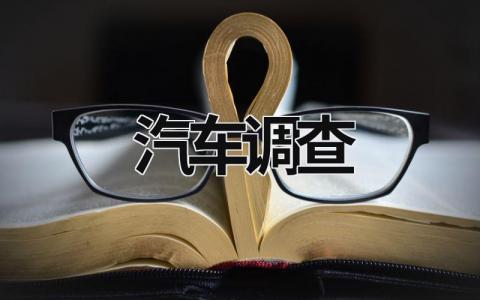 汽車調查 汽車調查 (19篇）